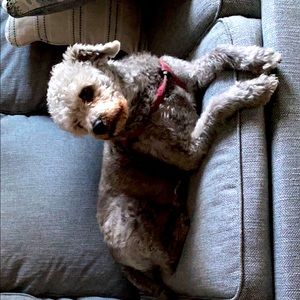 Meet your Posher, Ivonne